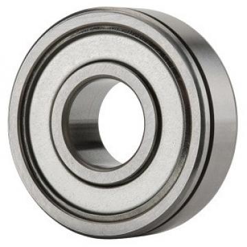 NTN 6204ZN Ball Bearings