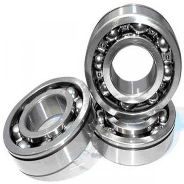 16068, Portugal Single Row Radial Ball Bearing - Open Type