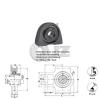 3/4 in Take Up Units Cast Iron HCT204-12 Mounted Bearing HC204-12 + T204 QTY:1