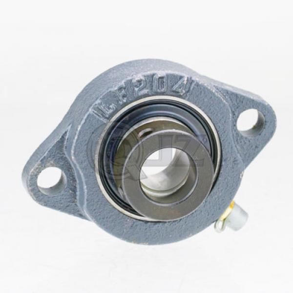 7/8 in 2-Bolt Flange Units Cast Iron SALF205-14 Mounted Bearing SA205-14+LF205 #1 image